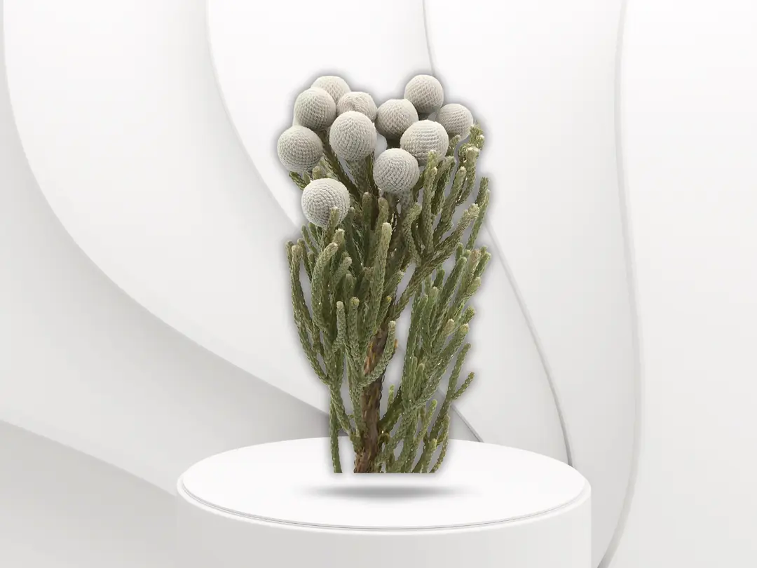 Brunia Silver